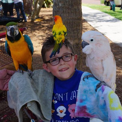 Vegan Evan and parrots