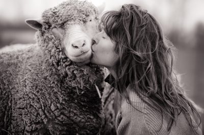 Best Vegan Tips - JoAnne McArthur kisses a sheep