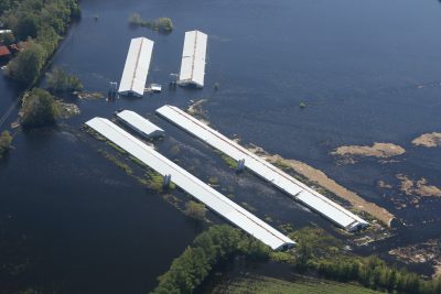 North Carolina hog CAFO in Hurricane Florence floodwaters