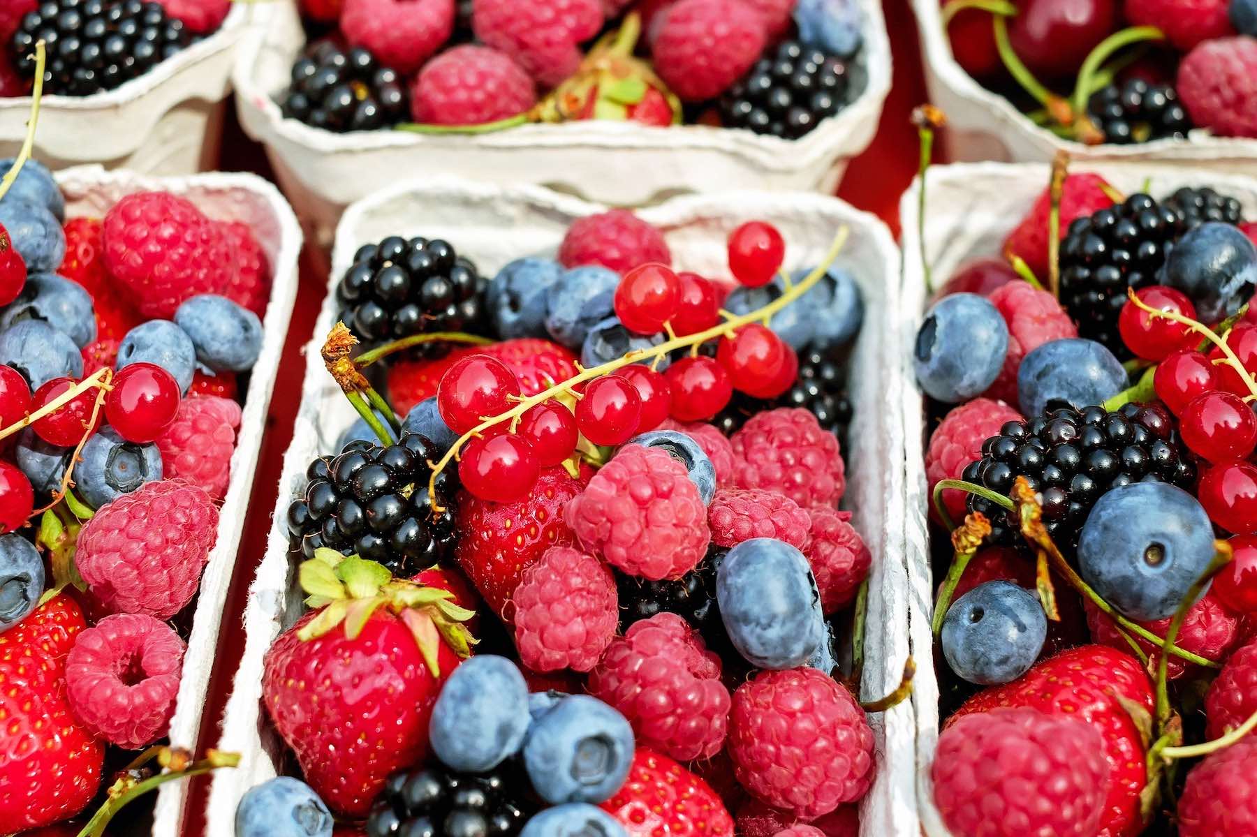 berries for brain's health