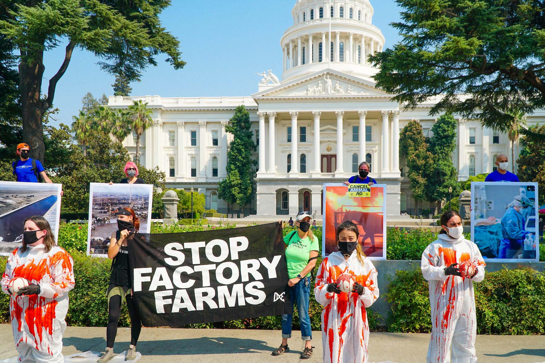 stop factory farms : animal rights demonstration