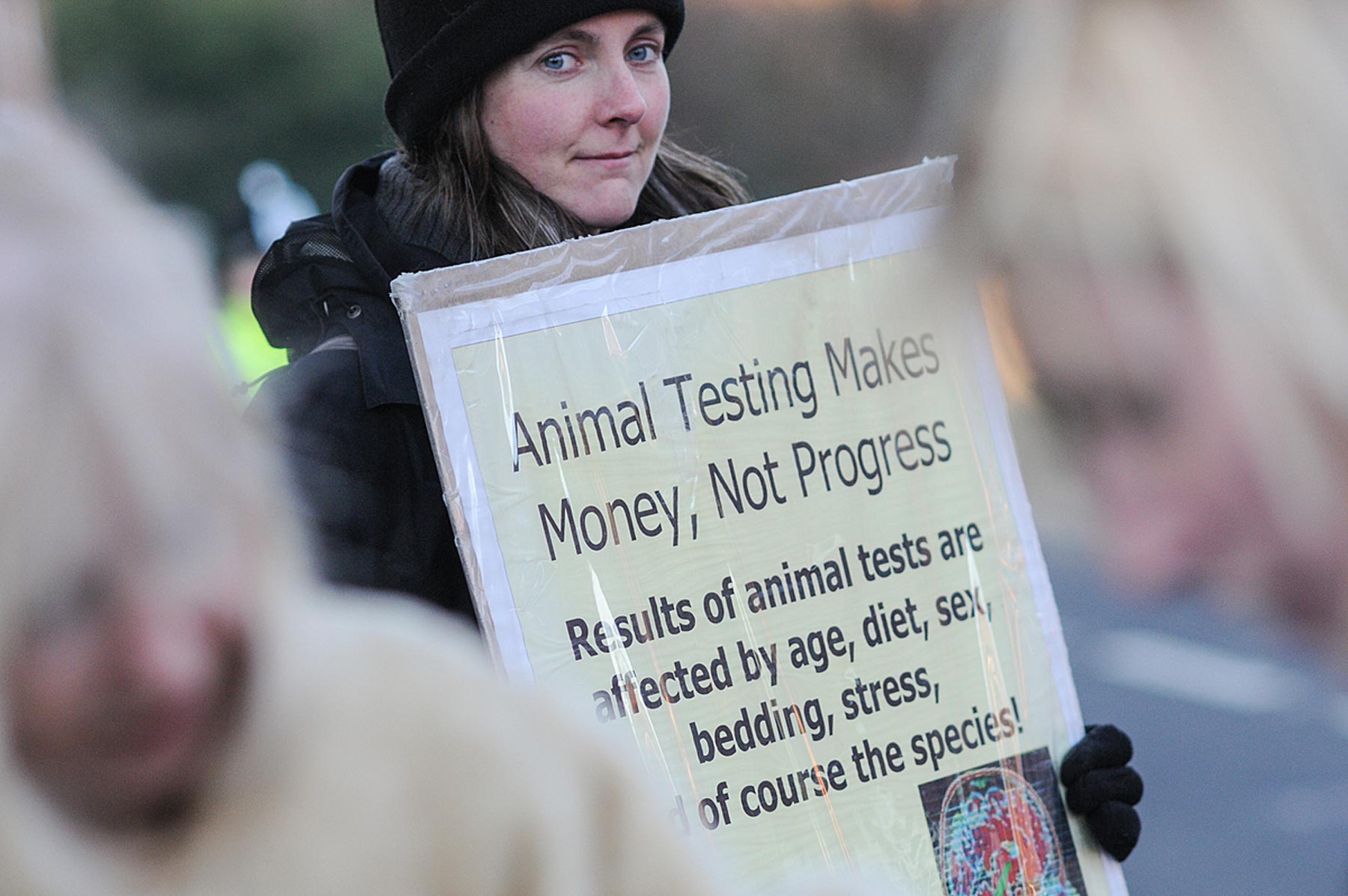 Headline: A demonstration outside Wickham animal research laboratory.