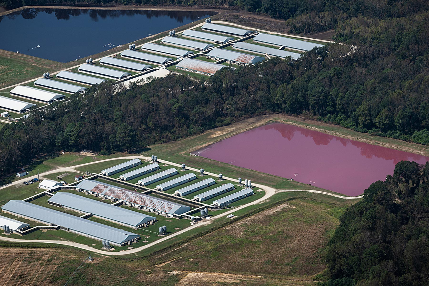 Aerial views of CAFOs (Concentrated Animal Feeding Operations).