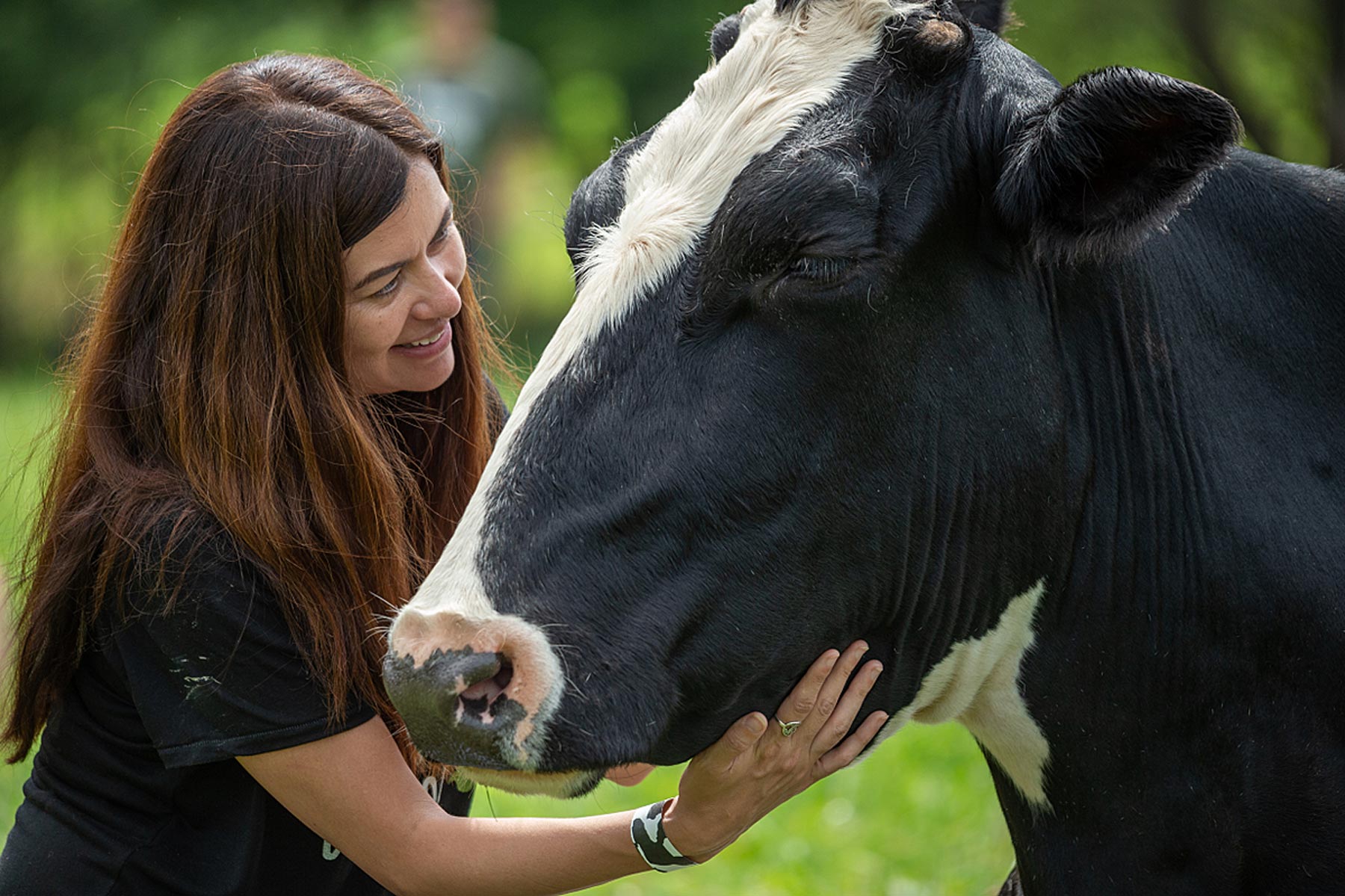Visitors enjoying time with rescued animals at Farm Sanctuary's annual summer festival.