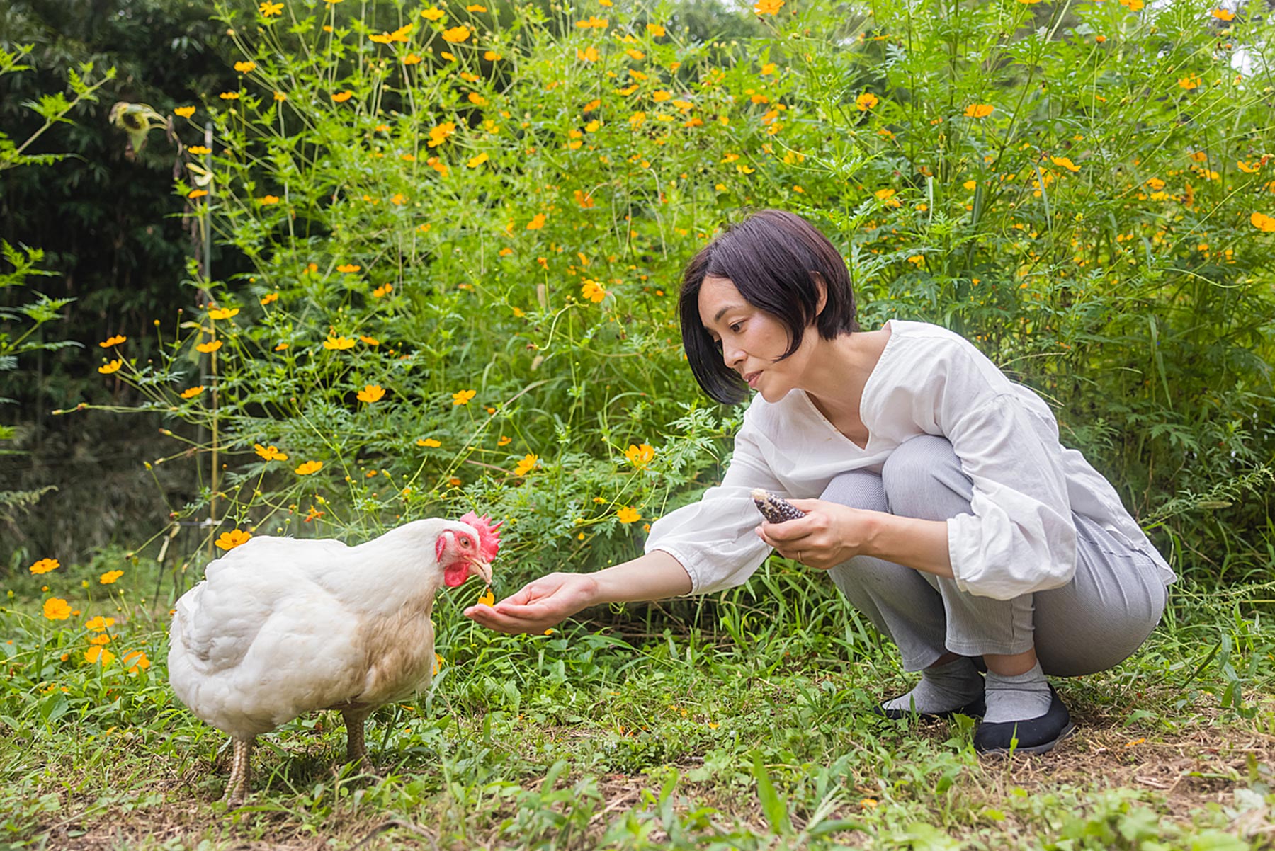 Ms. Okada with a chicken rescued from a broiler farm. The chicken was rescued by the Animal Rights Center.