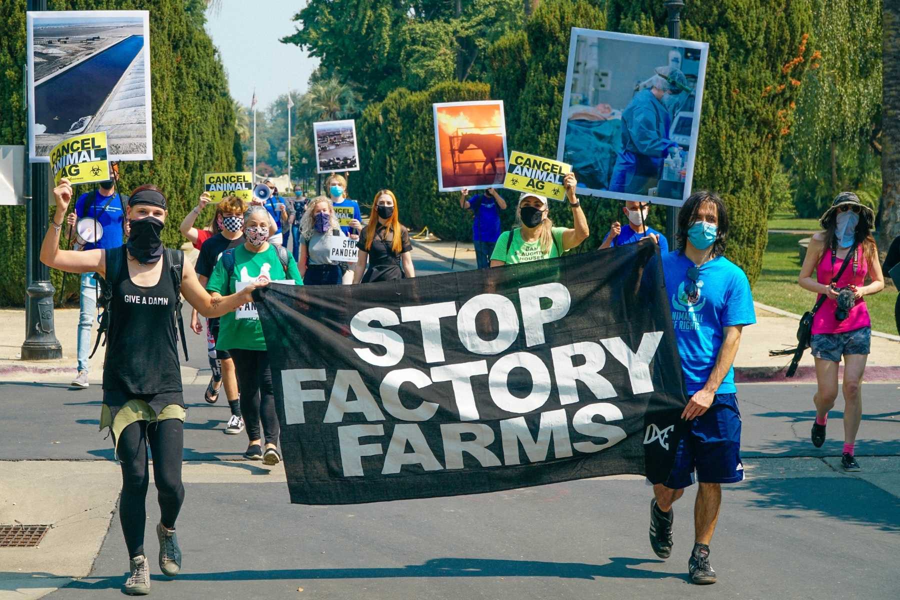 Demonstration: Stop Factory Farms