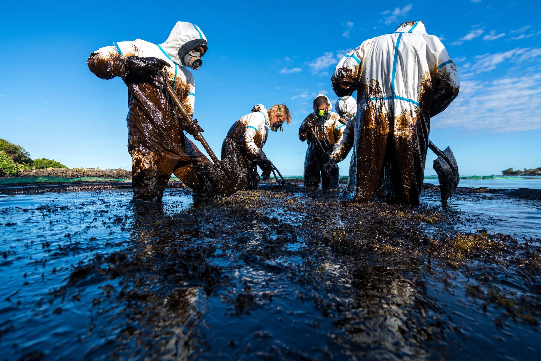 Volunteers clean the ocean coast from oil after a tanker wreck. Mauritius