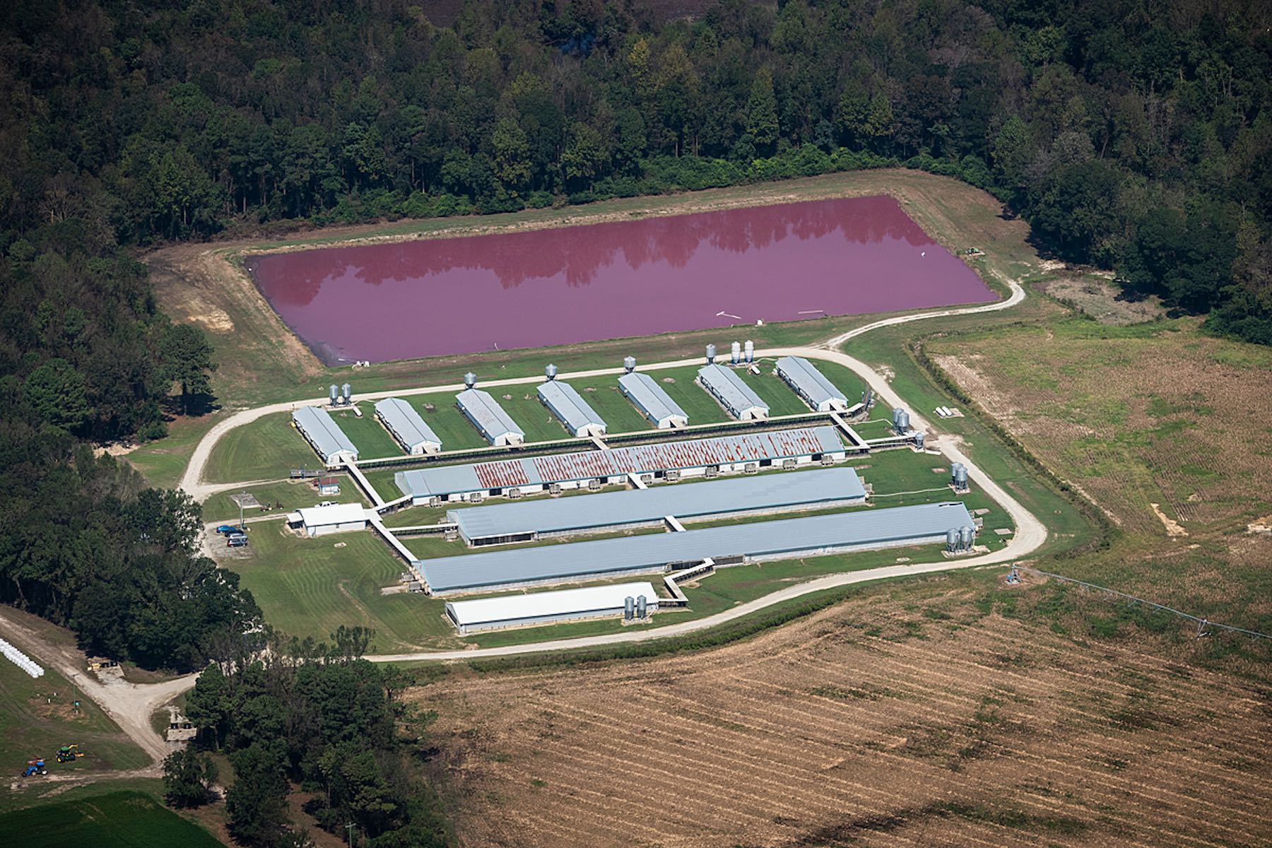 Aerial views of flooded CAFO (Concentrated Animal Feeding Operations) farms in North Carolina, USA. Chicken, turkey and pig farms were widely affected by the flooding caused by Hurricane Florence. We Animals Media contributors travelled to North Carolina to document the aftermath of Hurricane Florence, which caused the death of at least 5.5 million farmed animals and widespread environmental devastation from breaches in toxic manure lagoons.