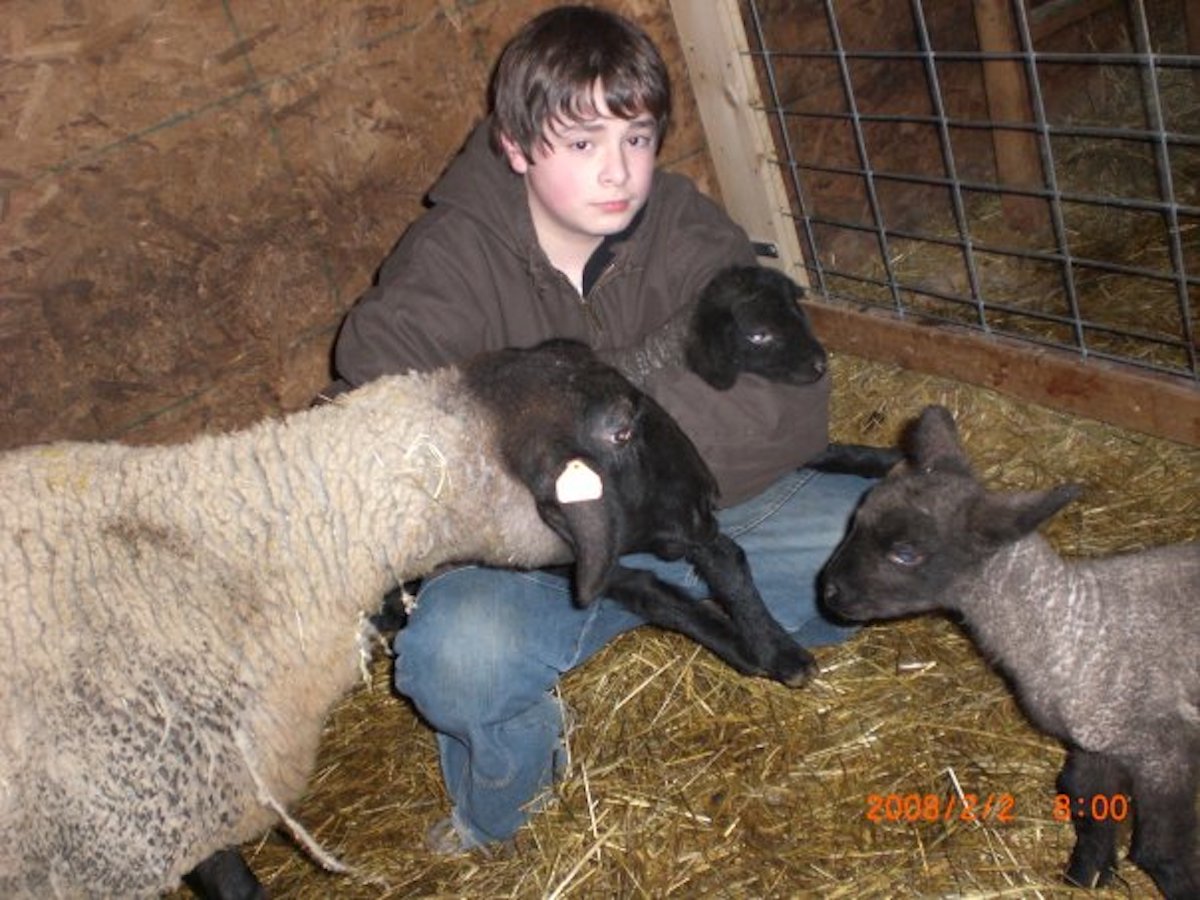 Simon and lambs