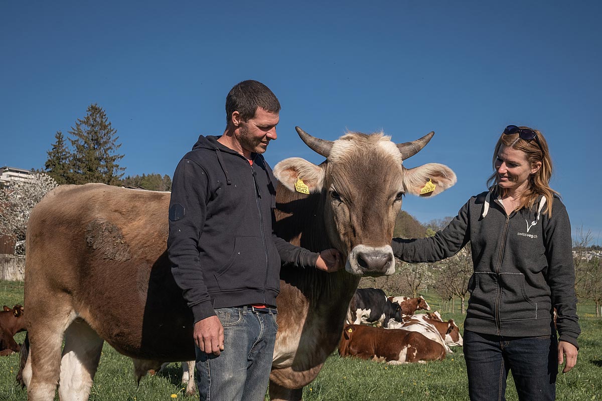 5 student farmers choose sanctuary over slaughter for the animals